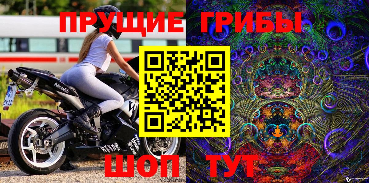 Чита  Псилоцибиновые грибы мицелий  Псилоцибиновые грибы мухоморы  Вход с VPN 