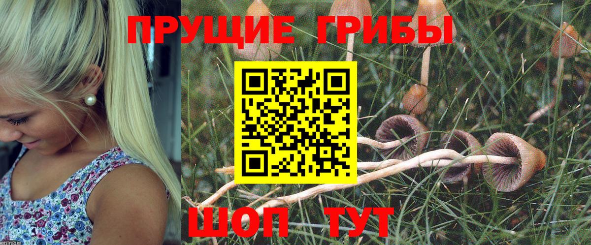 Псилоцибиновые грибы Magic Shrooms Чита